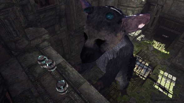 The Last Guardian: Последний хранитель [PS4, русские субтитры] в Белгороде