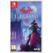 Игра Elderand [Nintendo Switch, русские субтитры] в Белгороде