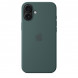 Чехол Apple для iPhone 16 Plus Silicone MagSafe,  Lake Green (MYYH3ZM/A) в Белгороде