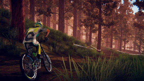 Игра Descenders [Nintendo Switch, английская версия] в Белгороде