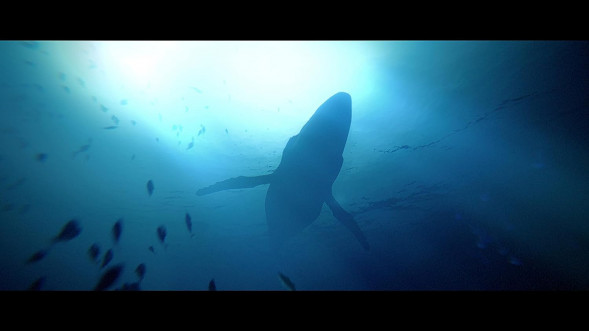Игра Under The Waves [PS4, русские субтитры] в Белгороде