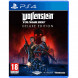 Игра Wolfenstein Youngblood Deluxe Edition [PS4, русская версия] в Белгороде