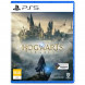 Игра Hogwarts Legacy. Exclusive DLC Astronomers Hat [PS5, русские субтитры] в Белгороде